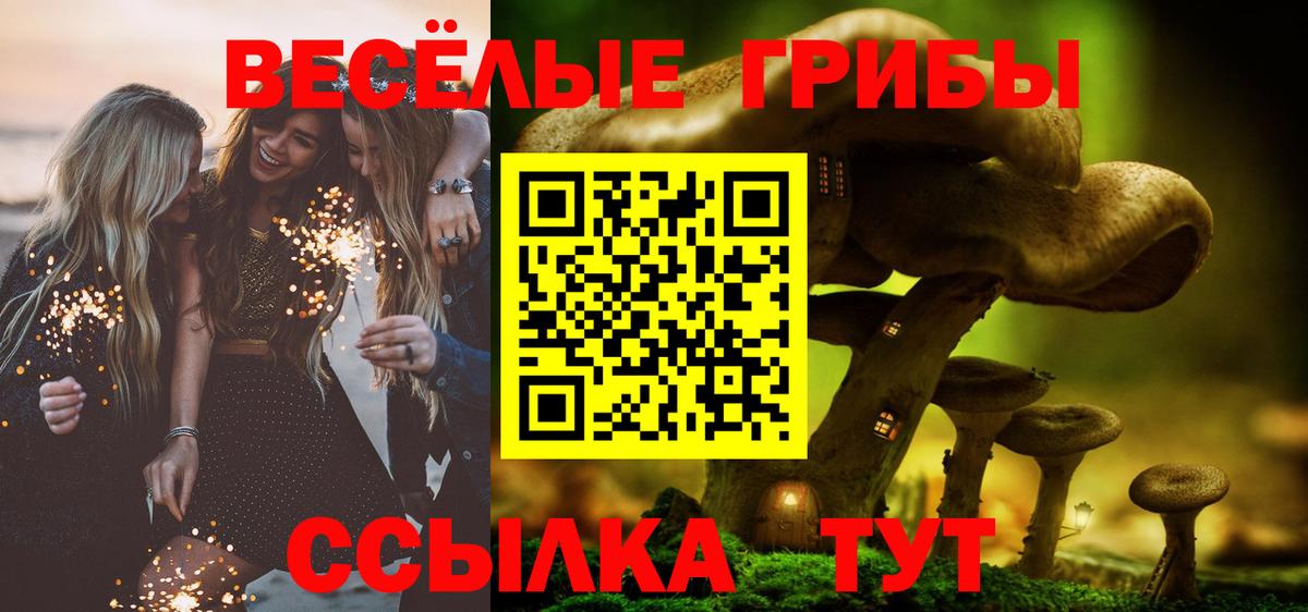 Елабуга  Галлюциногенные грибы прущие грибы  Вход с VPN 
